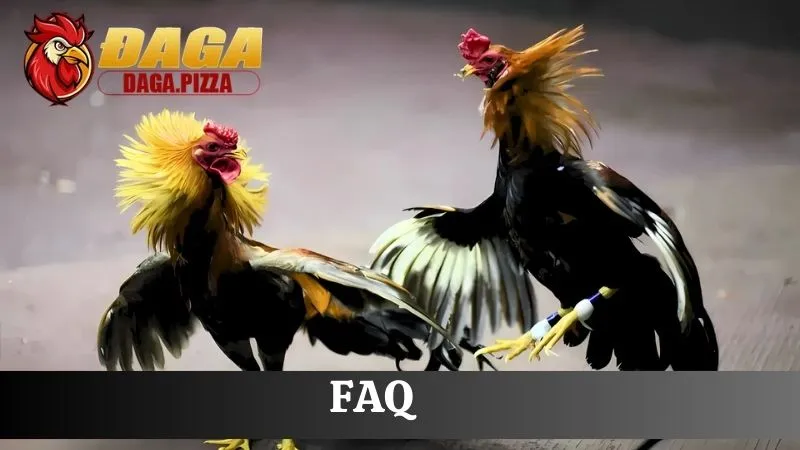 FAQ